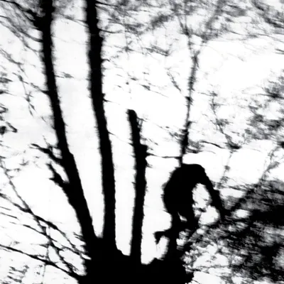 Zdjęcie produktu dla Cindytalk: Camouflage Heart (remastered) (Limited Edition) (Clear Vinyl)