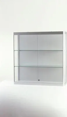 Produktbild von Wandvitrine 1151000-W, 1000 x 300 x 1000 mm, LED-Beleuchtung
