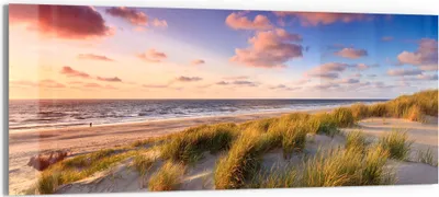 Produktbild von DEQORI Glasbild Echtglas 125x50 cm 'Abendroter Dünenstrand' Wandbild Bild modern Deko