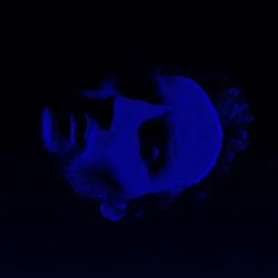 Produktbild von Fern Ep