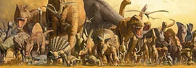 Produktbild von Takino, Haruo - Slim-Poster - Dinosaurs + 2 St Posterleisten Alu 93,5 cm