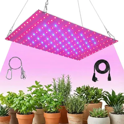 A grow light illuminates several potted plants.