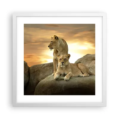 Produktbild von Gerahmtes Poster - Weißer Rahmen - Löwen Sonnenuntergang Felsen Krallen - 40x40 cm - Wand Bild - Wanddeko - Wandbilder - Wandposter - Bilderrahmen - Bilder - Kunstdruck - Wandbild - P2WAC40x40-2958