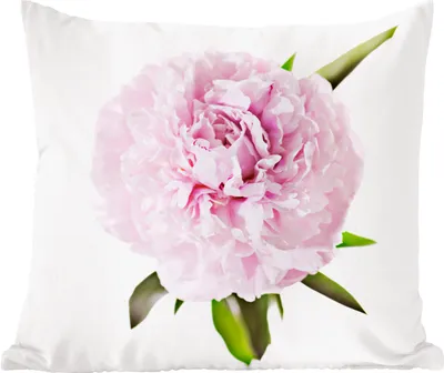 Produktbild von MuchoWow® Zierkissen Sofakissen Wohnzimmer Dekokissen 50x50 cm Draufsicht auf eine rosa Pfingstrose - Komfort - Sofakissen