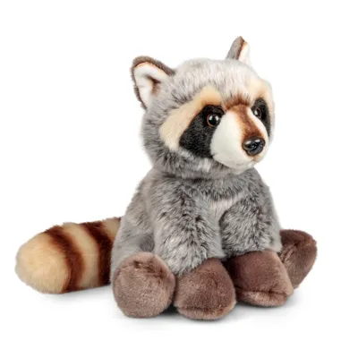 Produktbild von Plüsch Waschbär