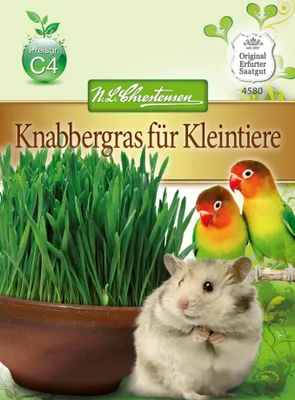 Produktbild von Knabbergras für Kleintiere | Kleintiersaaten von N.L. Chrestensen