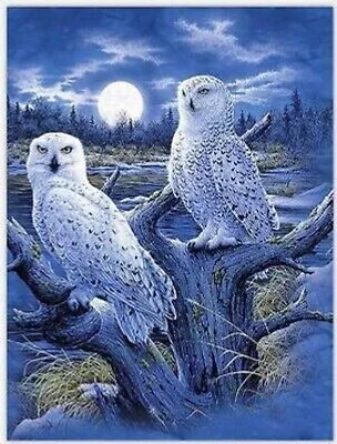 Produktbild von 50x40 cm Malen nach zahlen Set mit Holzrahmen Eulen und der Mond