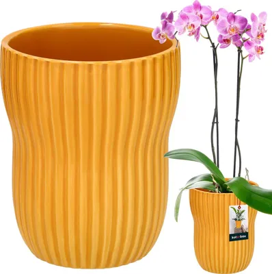 Productafbeelding van KOTARBAU® Bloempot, mosterdgeel, binnen, rond, diameter 11,5 cm, hoogte: 16,5 cm, gegroefd, geglazuurde keramische bloempotten, keramische plantenpot, orchideeėnpot, grote bloempot