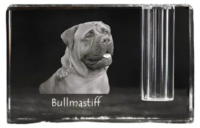 Obrázek produktu pro Art-Dog Stojánek na pera – Bulmastif