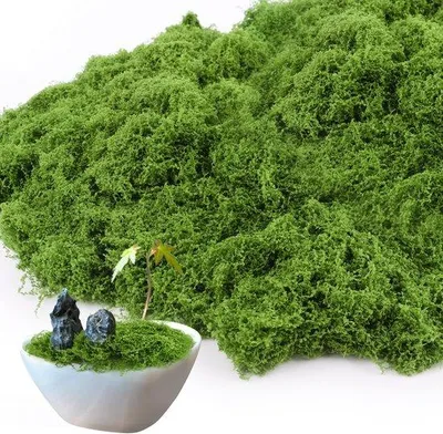 Immagine prodotto di Set di muschio artificiale da 100 g, elementi decorativi artificiali, muschio artificiale per decorazioni, elementi artificiali da intrecciare