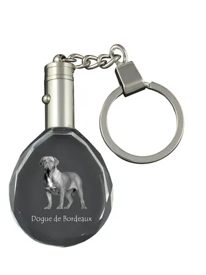 Produktbild von Bordeauxdogge, Dogue de Bordeaux - Anhänger mit einem Foto eines Hundes, Schlüsselanhänger aus Kristall in einer Geschenkbox, ein einzigartiges Geschenk von Art-Dog