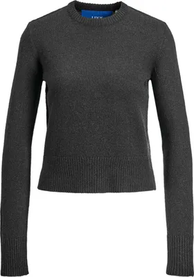 Produktbild von Langarmshirt Jjxx 12216866- für Damen