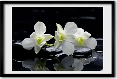 Produktbild von Bild 60x40 MDF-Rahmen, Wandkunst Orchidee
