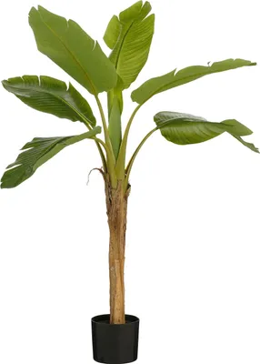 Produktbild von Mica Decorations Kunst Bananenpflanze - H120 x Ø70 cm - Grün