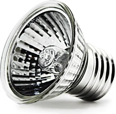 A close-up studio shot of a reptile heat lamp bulb against a white background.