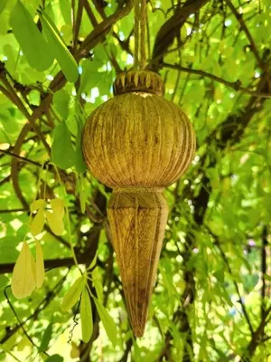 Produktbild von Boho Holzornament Felicias