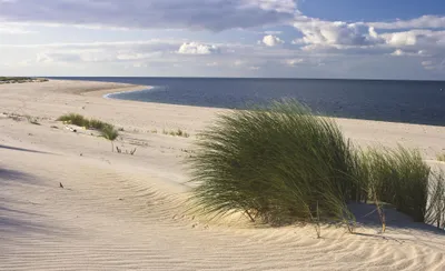 Produktbild von Vlies Fototapete Strand Meer Dünen (416x254cm - 4 Bahnen) Ostsee Natur Wohnzimmer Schlafzimmer Wandtapete Moderne Tapete UV-Beständig Montagefertig