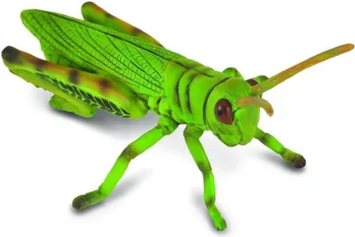 Produktbild von Collecta 88352 Grashüpfer 8 cm Insekten