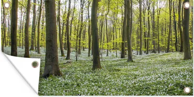 Produktbild von MuchoWow® 160x80 cm Outdoor-Poster Gartendeko Sichtschutz Garten Poster für den Garten  Bäume - Blumen - Frühling