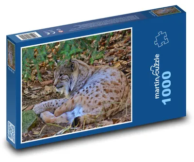 Zdjęcie produktu dla Puzzle 1000 Ryś w naturalnym środowisku - martinpuzzle