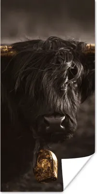 Produktbild von MuchoWow® Poster Schottischer Highlander - Fell - Schwarz 20x40 cm - Plakat - Foto