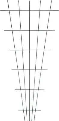 Image de Treillis pour fleurs 75x150cm en forme d'éventail Treillis pour rosiers Treillis pour plantes