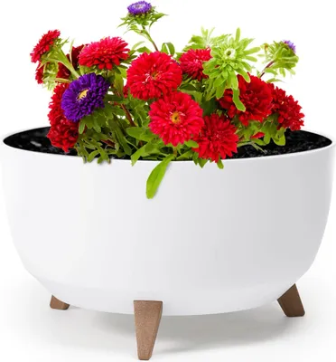 Zdjęcie produktu dla Doniczka LAMELA Doniczka ROMA, średnica 47 cm, miska na nóżkach, biała