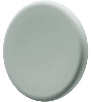Productafbeelding van Legamaster Glasbordmagneet 7-181610, 30 mm, saliegroen, 5 stuks.