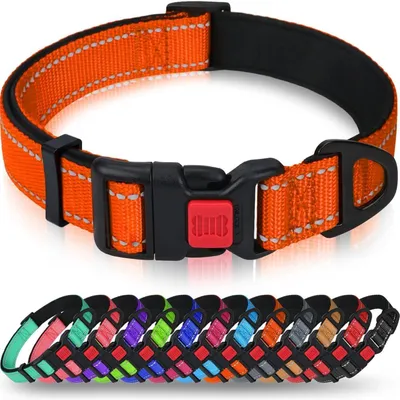 Produktbild von Hundehalsband Neopren Nylon Verstellbar Reflektierend Orange M (35-50cm)
