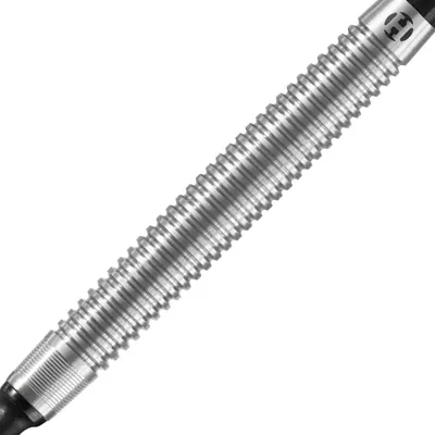 Image de Fléchettes - 20g