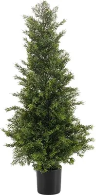 Produktbild von Emerald Künstliche Zeder - Marpel, UV-beständig | 90 cm, UV-beständig, für draußen, Kunstbaum, wie echt, Allergiker geeignet, pflanzliche Dekoration Praxis, Office & Wohnzimmer