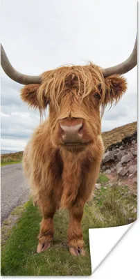 Produktbild von MuchoWow® Poster Schottischer Highlander - Kuh - Landschaft 60x120 cm - Wandschmuck