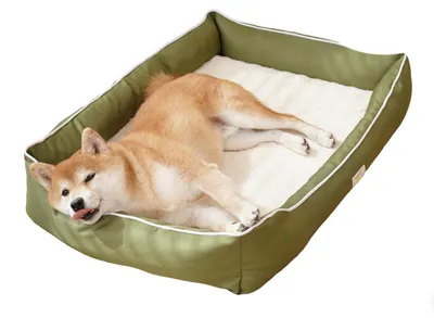 Produktbild von Hundebett & Katzenbett Orthopädisch Waschbar Grün L 70x50x12 cm