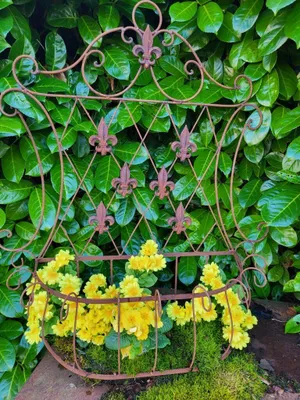 Produktbild von Edelrost Wandjardiniere mit Lilien, groß