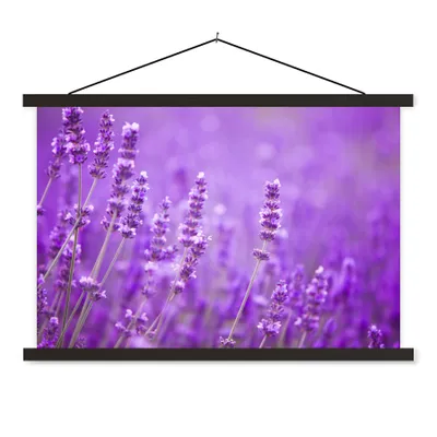 Produktbild von MuchoWow® Textilposter Lavendel - Nahaufnahme - Blumen - Lila 60x40 cm mit schwarzem Rahmen - Hölzernes