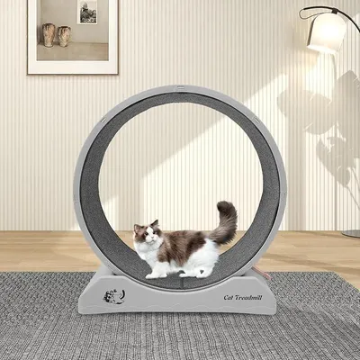 Produktbild von Großes Katzenlaufrad 80cm Rund Geräuschlose Katzenlaufbahn mit Kratzfläche & Sicherheitsverriegelung für Katzen bis 10kg, Geräuschlos, Grau