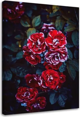Produktbild von Leinwandbild rote blumen auf einem hintergrund aus blättern 70x100 cm Feeby rot wandbild bereit zum aufhängen