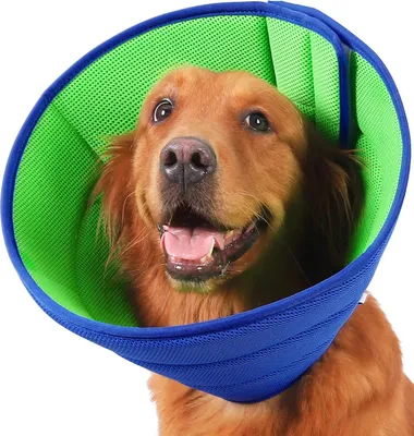 Produktbild von Hundehalsband, Atmungsaktiv, Verstellbar, Leicht, Größe 3, Anti-Leck Halsband für die Genesung