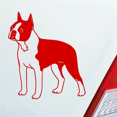 Produktbild von Auto Aufkleber Boston Terrier Hund Dog Animal 12x10 cm Rot Sticker Heckscheibenaufkleber