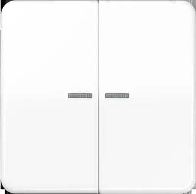 Productafbeelding van Jung Taster, 2-voudig, met Bluetooth, model CD 17102, kleur: wit (BTCD17102WW)