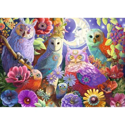 Zdjęcie produktu dla RAVENSBURGER Nocna Sowa Puzzle EXTRA 300 elementów