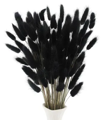 Getrocknete Hasenschwanz-Blumen, 120 Stk., 40 cm, Schwarz