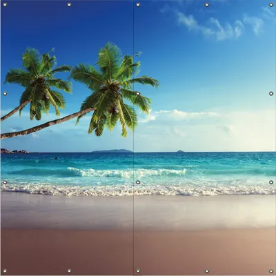 Produktbild von Wallario Outdoor-Poster für Garten oder Balkon, Motiv Sandstrand auf den Seychellen - Urlaub unter Palmen, in ca. 180 x 180 cm