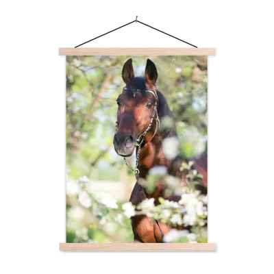 Produktbild von MuchoWow® Textilposter Pferde - Blüte - Frühling - Tiere 120x160 cm mit holzfarbenen Rahmen - Plakatkarton