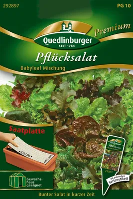 Produktbild von Quedlinburger Pflücksalat Babyleaf Mischung Saatplatte - Premium Gemüsesamen