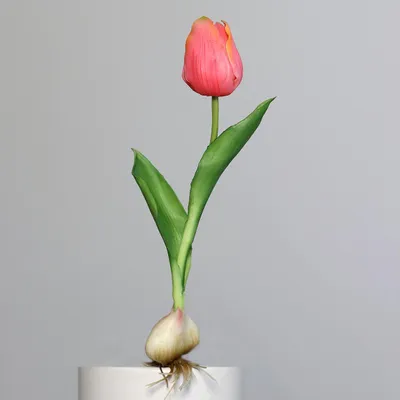 Produktbild von künstliche Tulpe mit Zwiebel pink grün H. 25cm DPI Kunstblumen