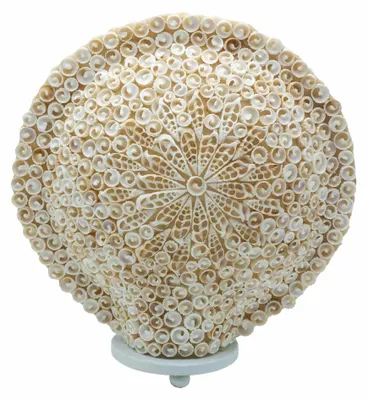 Obrázok produktu pre Boho lampa s morskými mušľami – veľká, okrúhla mušľa – 30 cm