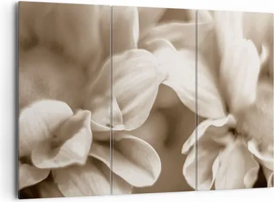 Produktbild von Bild auf Leinwand - Leinwandbild - 3 Teile - Blumen Boho ohne - 165x110cm - Wand Bild - Wanddeko - Wandbilder - Leinwanddruck - Bilder - Wanddekoration - Leinwand bilder - Wandbild - CE165x110-4767