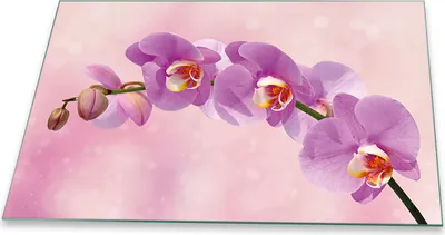 Produktbild von Herdabdeckplatte Glaskeramikkochfeld Spritzschutz Glas Universal Deko 80x52 Orchidee PInk