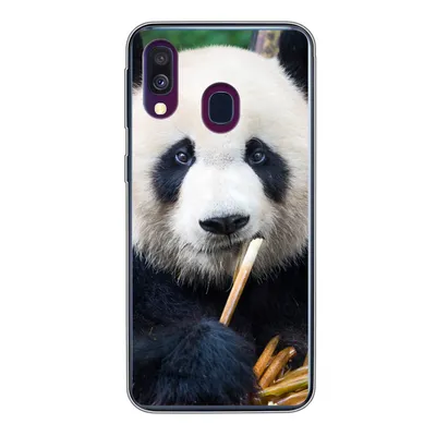 Produktbild von MuchoWow® Handyhülle Schutzhülle Hülle für Samsung Galaxy A40 Panda - Bambus - Natur Silikon Softcase Handy Hülle - Handy-Tasche